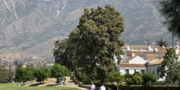 Mijas cierra junio con una ocupación hotelera del 92,48% convirtiéndose en un municipio líder en la provincia