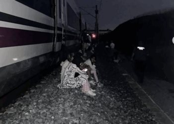 Tirados en mitad del campo: una nueva avería provoca retrasos e incidencias en la Alta Velocidad entre Madrid y Andalucía