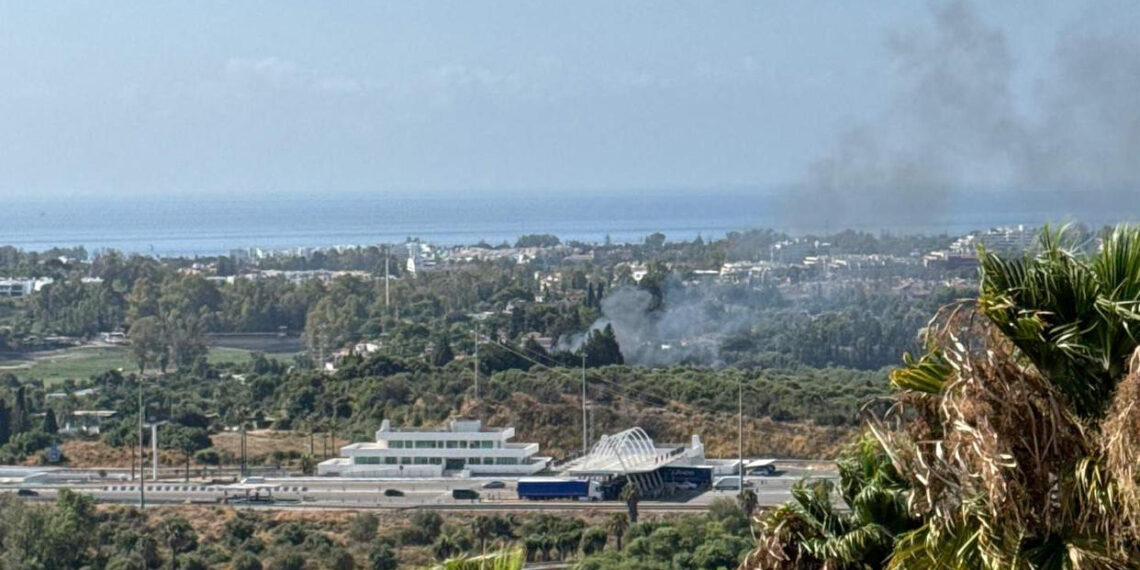 Bomberos intervienen en un incendio en una zona de pastos cercana a la A-7 en Marbella