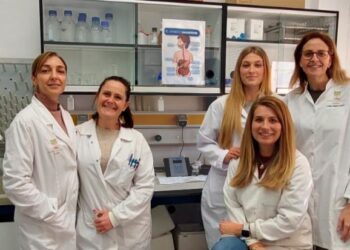 Una investigación andaluza determina diferencias en la calidad nutritiva de las bebidas de soja