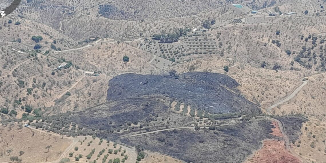 Controlado el incendio forestal de Cártama