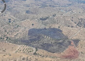 Controlado el incendio forestal de Cártama