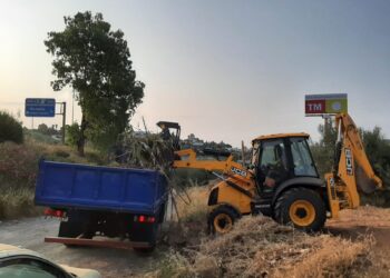 El Ayuntamiento de Marbella intensifica el control sobre la limpieza y vallado de parcelas privadas con casi un centenar de expedientes en seis meses