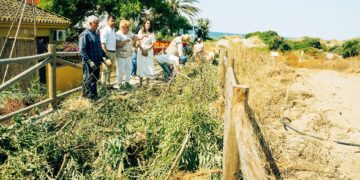 Marbella retira más de 43 toneladas de especies invasoras de sus dunas protegidas