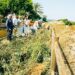 Marbella retira más de 43 toneladas de especies invasoras de sus dunas protegidas