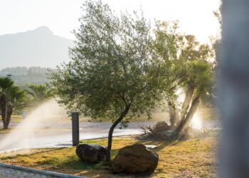 El Ayuntamiento de Marbella impulsa una actuación integral en el Parque de los Tres Jardines tras reparar el sistema de riego