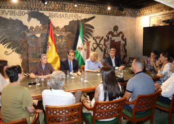 La Junta saca a licitación el estudio de implantación de la Ciudad de la Justicia de Marbella