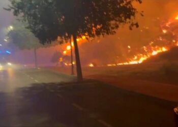 Otros dos incendios se originaron anoche por la zona de Mijas Golf y el Tívoli