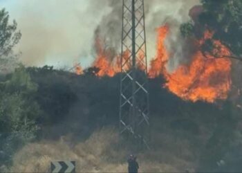 Evoluciona «favorablemente» el incendio forestal de Mijas