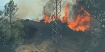 Evoluciona «favorablemente» el incendio forestal de Mijas