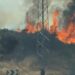 Evoluciona «favorablemente» el incendio forestal de Mijas