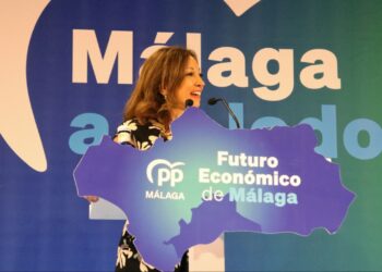 Navarro reivindica que «el milagro económico andaluz tiene el código postal de Málaga»