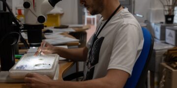 Las trampas de mosquitos no detectan circulación del virus del Nilo occidental la última semana en Andalucía