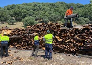 La Diputación aspira a que la provincia de Málaga lidere la creación de una industria manufacturera del corcho como freno a la despoblación