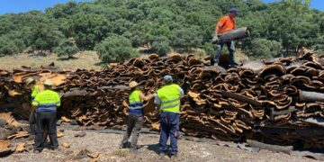 La Diputación aspira a que la provincia de Málaga lidere la creación de una industria manufacturera del corcho como freno a la despoblación