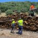 La Diputación aspira a que la provincia de Málaga lidere la creación de una industria manufacturera del corcho como freno a la despoblación