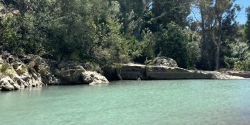 Un recorrido por las charcas naturales más espectaculares en el interior de la Costa del Sol
