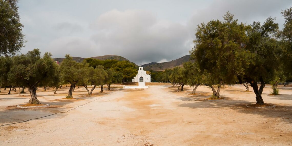 Finaliza la primera fase de acondicionamiento ambiental y recreativo de la zona de la Ermita de San Miguel