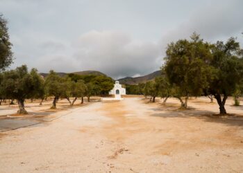 Finaliza la primera fase de acondicionamiento ambiental y recreativo de la zona de la Ermita de San Miguel