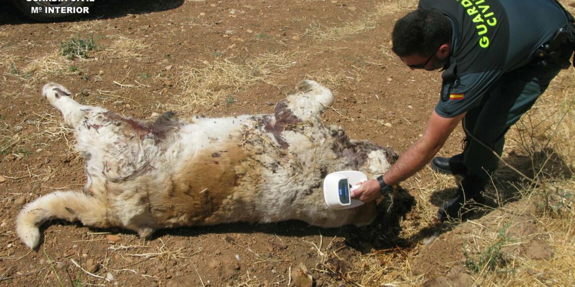 Investigan la muerte de un perro por disparos provocados con un arma detonadora en Coín