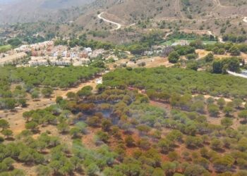 Extinguido el incendio forestal en Fuente del Acebuche, Alhaurín el Grande