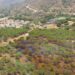 Extinguido el incendio forestal en Fuente del Acebuche, Alhaurín el Grande