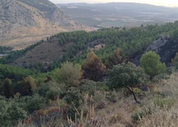 Dan por extinguido el incendio forestal declarado este pasado martes en Antequera
