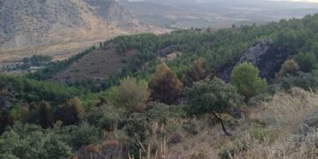 Dan por extinguido el incendio forestal declarado este pasado martes en Antequera