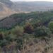 Dan por extinguido el incendio forestal declarado este pasado martes en Antequera