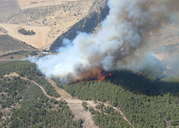 Cortada al tráfico la carretera A-7282 por el incendio declarado en Antequera