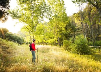 La Costa del Sol, entre los destinos favoritos de Europa para el turismo activo, según Travellyze