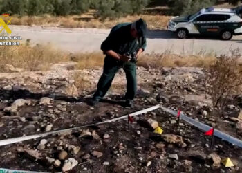 Detenido el presunto autor de seis incendios forestales en Málaga