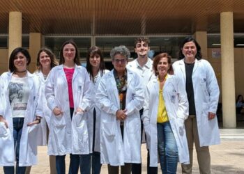 Un nuevo hallazgo contra el párkinson: una hormona natural protege las neuronas y mejora la salud celular