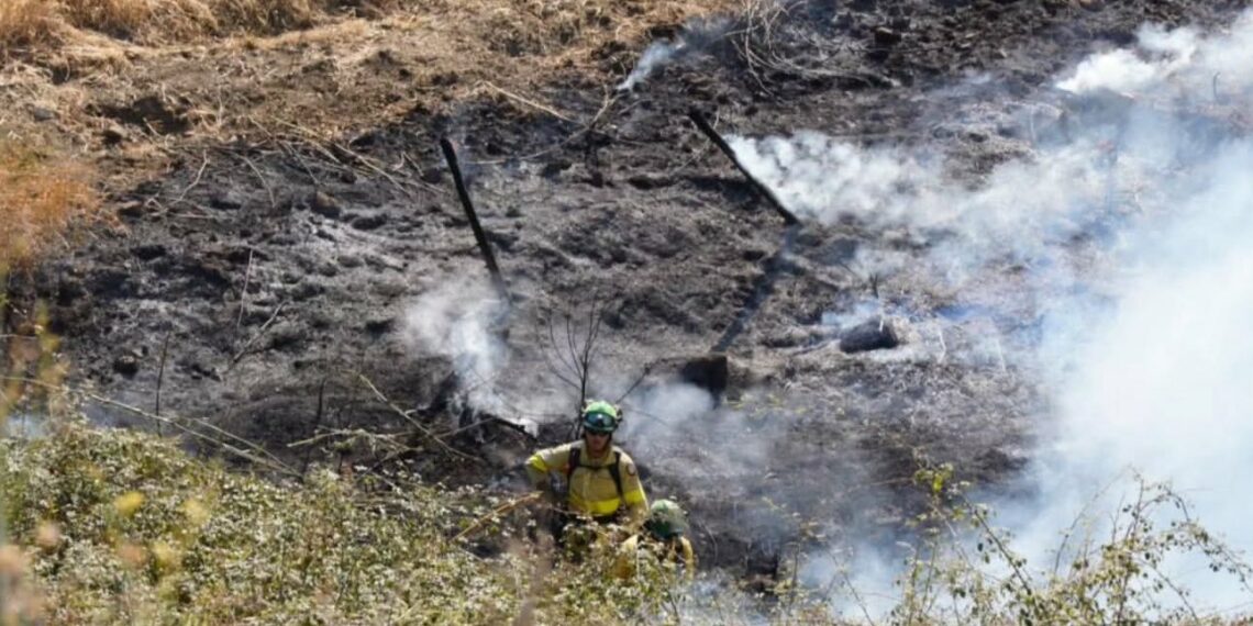 Controlado el incendio forestal declarado en Mijas