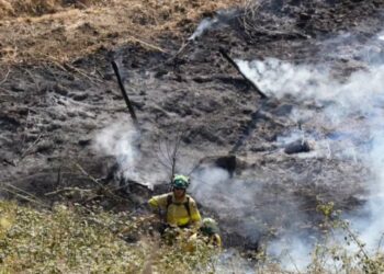 Controlado el incendio forestal declarado en Mijas