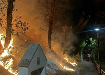 Tremendo susto por un incendio en el Parque del Calvario en Marbella: todo apunta a que fue provocado
