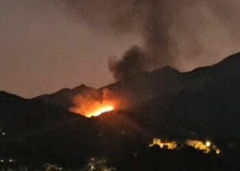 Activo un incendio forestal declarado en Monda: bomberos de Marbella colaboran en la extinción