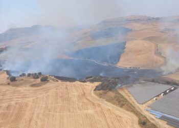Declarado un incendio forestal en Ronda