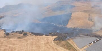 Declarado un incendio forestal en Ronda