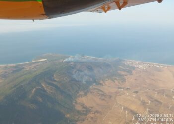 Continúa activo el incendio en Tarifa: se incorporan cuatro medios aéreos desde primera hora de la mañana