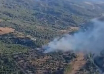 Declarado incendio forestal en el municipio de Gaucín