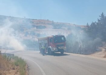 Los bomberos sofocan rápidamente un incendio por la carretera MA-8300 en Casares