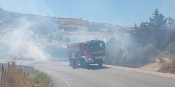 Los bomberos sofocan rápidamente un incendio por la carretera MA-8300 en Casares