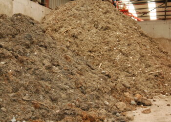 La Mancomunidad ha gestionado cerca de cinco mil toneladas de algas en lo que va de año