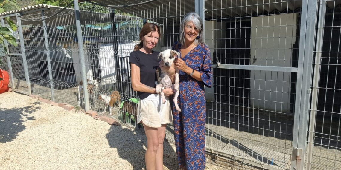 El Ayuntamiento de Benalmádena y Fidelio trabajan de manera conjunta para conseguir la adopción de todos los animales acogidos por la asociación en el plazo de un año