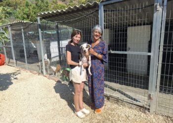 El Ayuntamiento de Benalmádena y Fidelio trabajan de manera conjunta para conseguir la adopción de todos los animales acogidos por la asociación en el plazo de un año