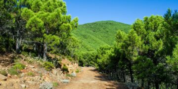 Estepona intensifica controles en los accesos a los parajes naturales para evitar incendios forestales