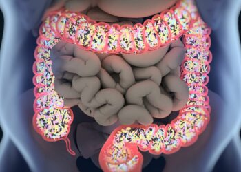 La microbiota intestinal, clave en la relación entre obesidad y cáncer colorrectal