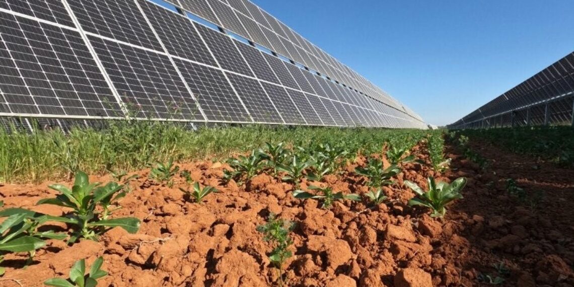 La energía solar repite hasta julio de este año como principal fuente de energía en Andalucía