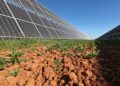La energía solar repite hasta julio de este año como principal fuente de energía en Andalucía